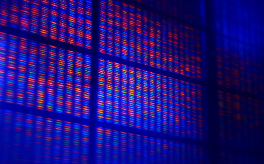 Understanding Why: The Deep Insights of Chromosomal Microarray After Pregnancy Loss